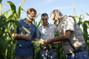 Errores ocultos en la gestión empresarial: consejos de un experto para prevenir problemas clave