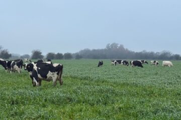 Un experto prevé el futuro de una actividad destinada a superar un mal momento reciente