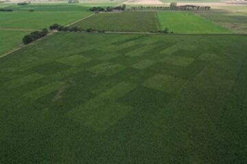 La agricultura de precisión impulsa la nutrición de los cultivos como estrategia clave para el futuro agrícola