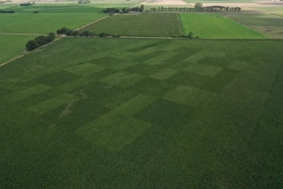 La agricultura de precisión impulsa la nutrición de los cultivos como estrategia clave para el futuro agrícola