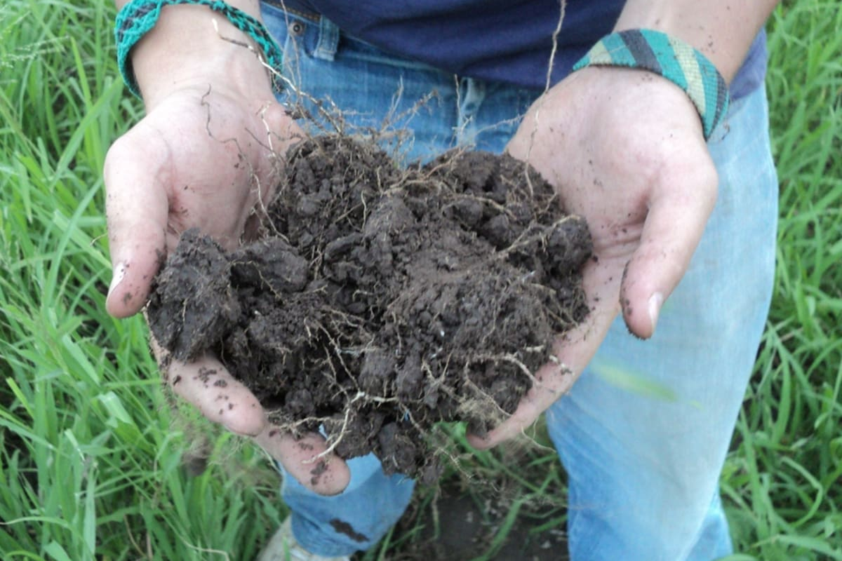 Cinco innovaciones tecnológicas en el campo argentino que evidencian la visión del INTA para el futuro agrícola