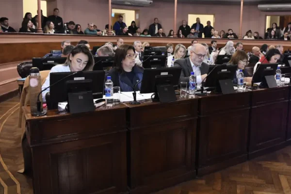 La creación de la OSER obtuvo sanción definitiva