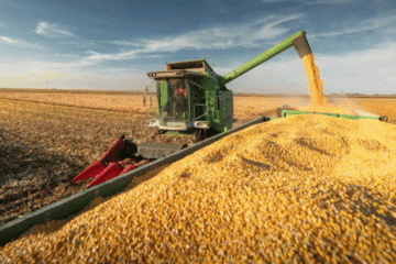 Preocupación en Entre Ríos por posibles cambios en el INTA