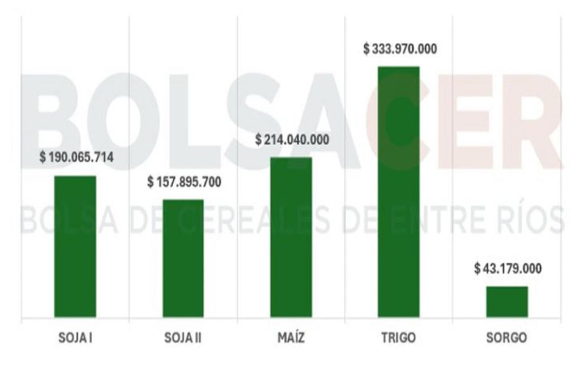 Productores entrerrianos proyectan inversión de 841 millones de dólares en campaña
