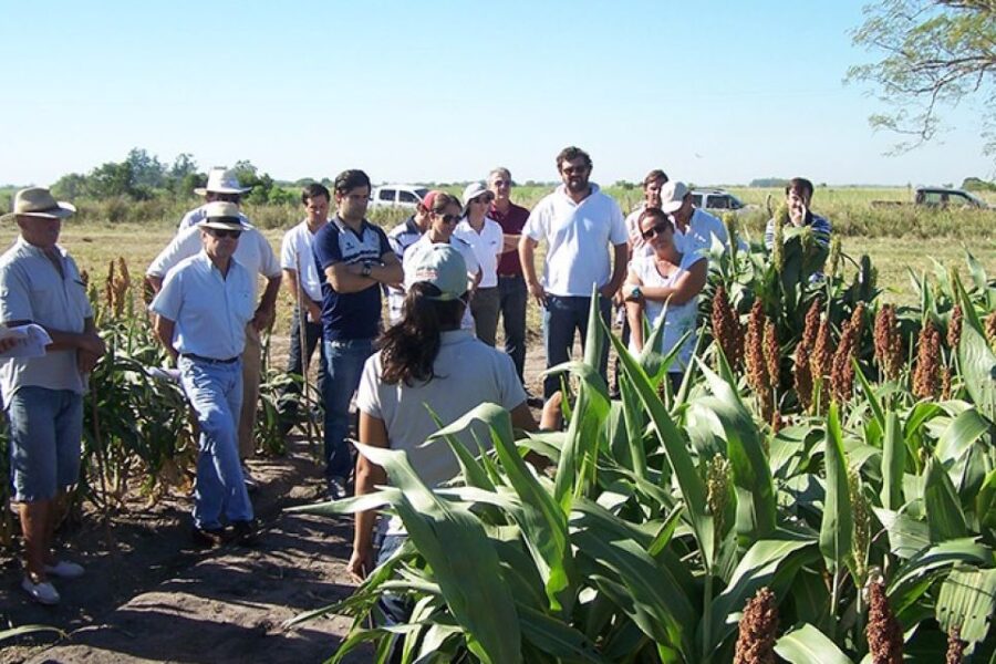 INTA Corrientes expresa preocupación por la reforma que afecta la asistencia a economías regionales