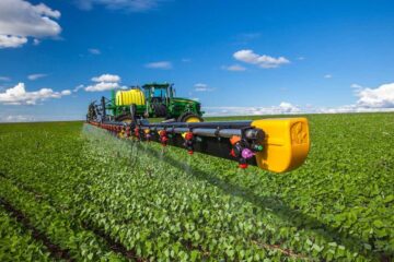 Estudio revela resultados sorprendentes sobre la producción sin agroquímicos y su impacto en el medio ambiente