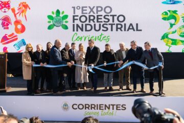 La provincia con más forestaciones invirtió US$100 millones para convertirse en potencia industrial