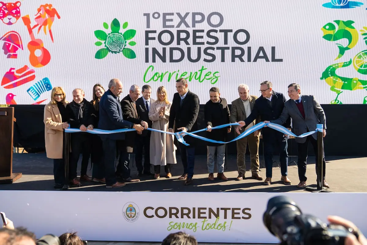 La provincia con más forestaciones invirtió US$100 millones para convertirse en potencia industrial