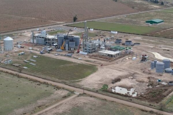 Amplían planta de etanol de maíz en Argentina ante creciente demanda del mercado