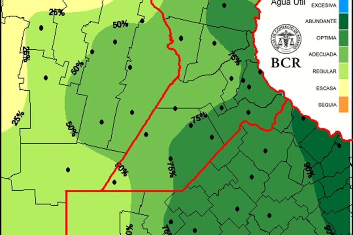 “Vuelven las dudas”: la Bolsa de Comercio de Rosario habla de “incertidumbre” por la siembra de trigo en una importante región
