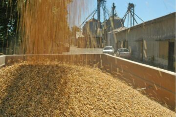 Nuevo título digital ayuda a pequeños y medianos productores a acceder más fácilmente al crédito