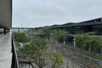 Cierre de semana favorable en el mercado agroganadero de Cañuelas