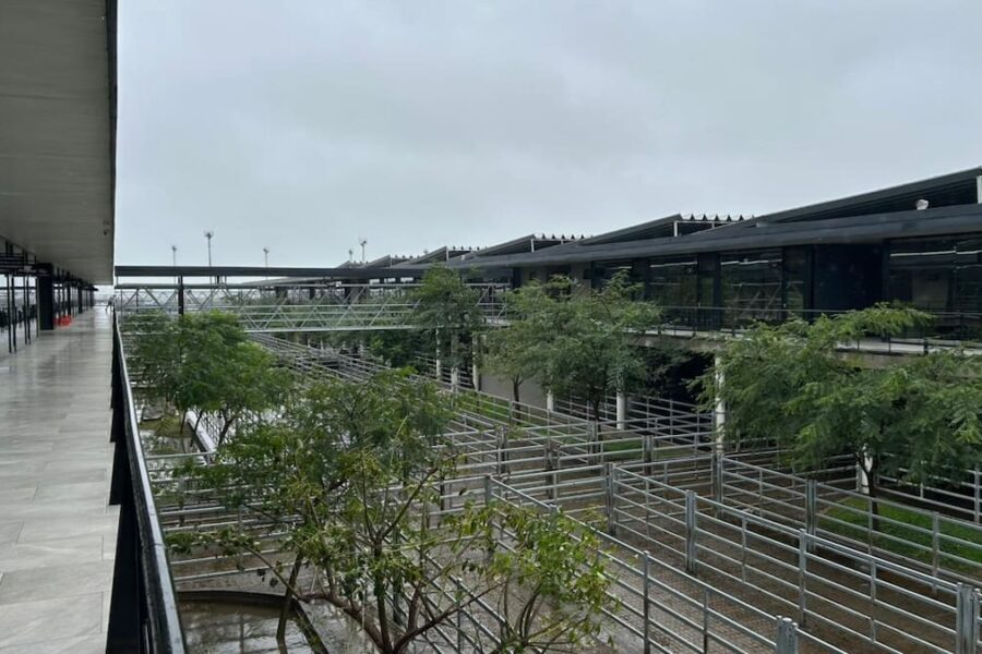 Cierre de semana favorable en el mercado agroganadero de Cañuelas