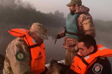 Pesca ilegal y caza furtiva: incautan armas y redes, además de más de 30 peces y un chancho jabalí