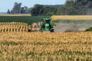De cuánto serán las retenciones a la soja a partir de julio