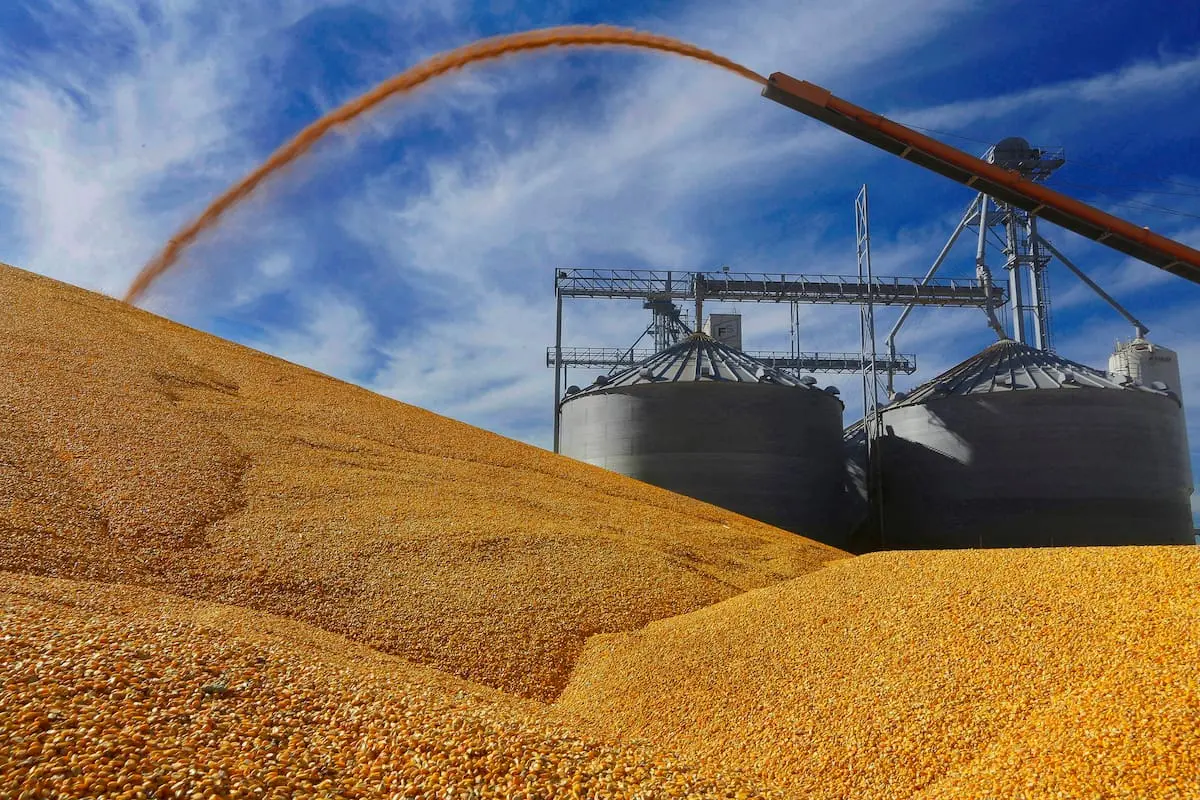 Desafíos internacionales y decisiones locales: la urgencia de medidas ante la complejidad actual