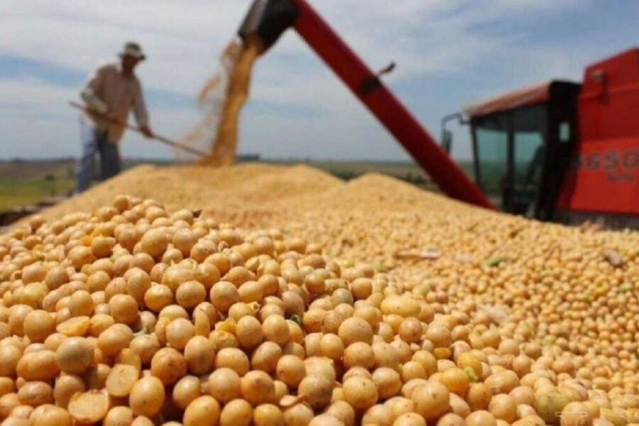 El campo advirtió por la suba de las retenciones: “Se van a quedar secos hasta noviembre”