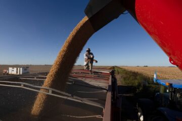 Prórroga de menores retenciones para trigo y cebada; soja y maíz incrementan sus pagos nuevamente