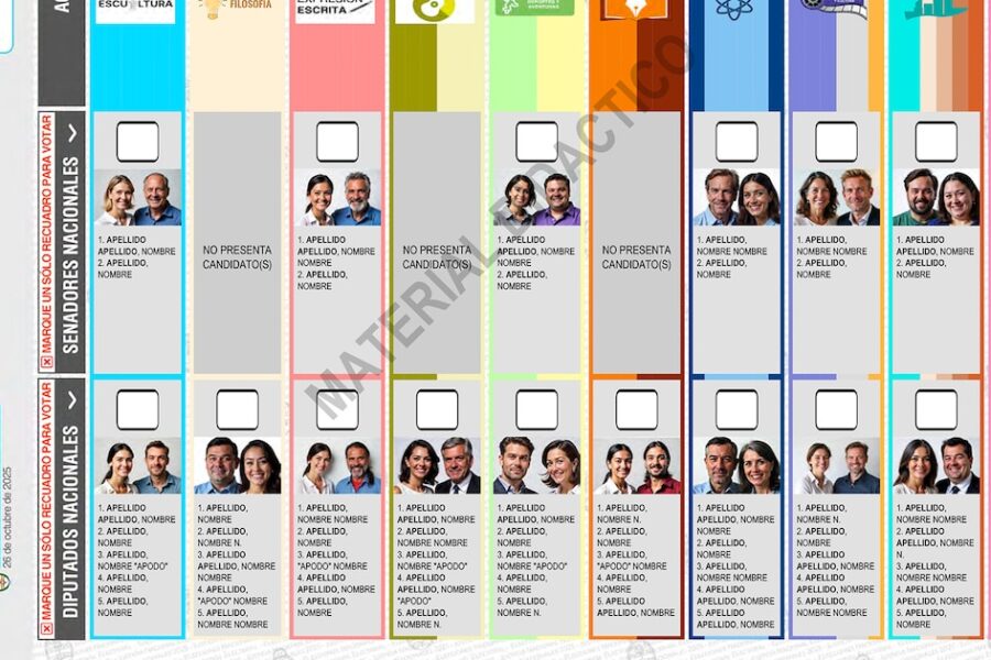 Boleta Única Papel en las elecciones legislativas 2025: procedimiento de votación y controles esperados a nivel nacional