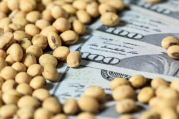 Campo acelera declaraciones de exportación para reducir retenciones y logra récord de liquidación de más de USD 220 millones