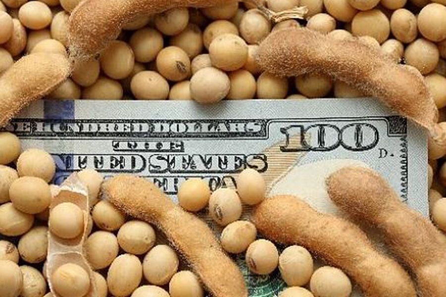 Dólar en jaque: caída de declaraciones juradas de exportación anticipa menor oferta de divisas pese a récord en liquidaciones