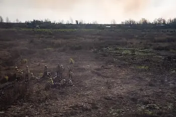 Condenaron a prisión a los apicultores acusados por los incendios en el Delta que consumieron 6 mil hectáreas