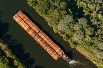 Granos en tránsito: cómo se mueve la producción agrícola y qué volvió a reclamar el campo argentino
