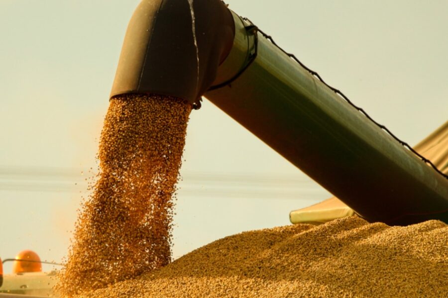 Agrodólares: el campo alcanzó en el primer semestre el máximo de divisas en 20 años gracias a la rebaja de retenciones