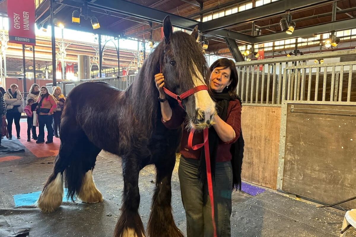 Furor en la Rural por la raza equina que promueve la terapia y fortalece la unión familiar