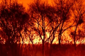 Tres apicultores condenados a prisión por el incendio devastador en el Delta del Paraná