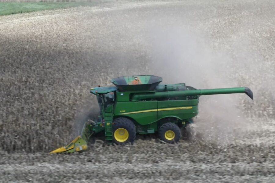 Costos crecientes reducen la rentabilidad proyectada del maíz para la campaña 2025/26