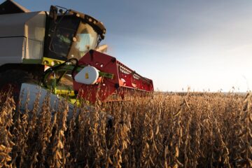 La suba de retenciones hace que la soja no sea rentable en un 80% del área agrícola, advierte el sector agropecuario.