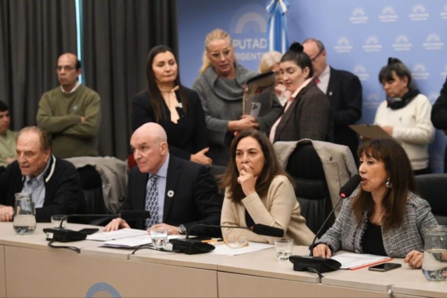 Gobierno nombra nuevo director mientras la oposición avanza con dictamen sobre emergencia del Garrahan en Diputados