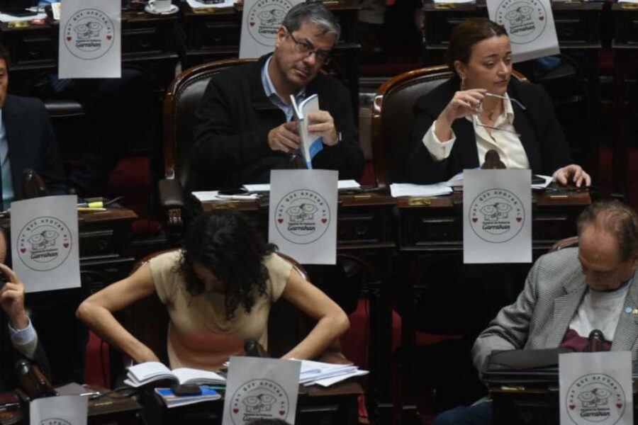 La oposición impulsa este martes el debate por el Garrahan y el financiamiento universitario