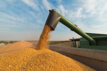 Empresarios solicitan un sistema de consultas para la importación de maquinaria agrícola de segunda mano