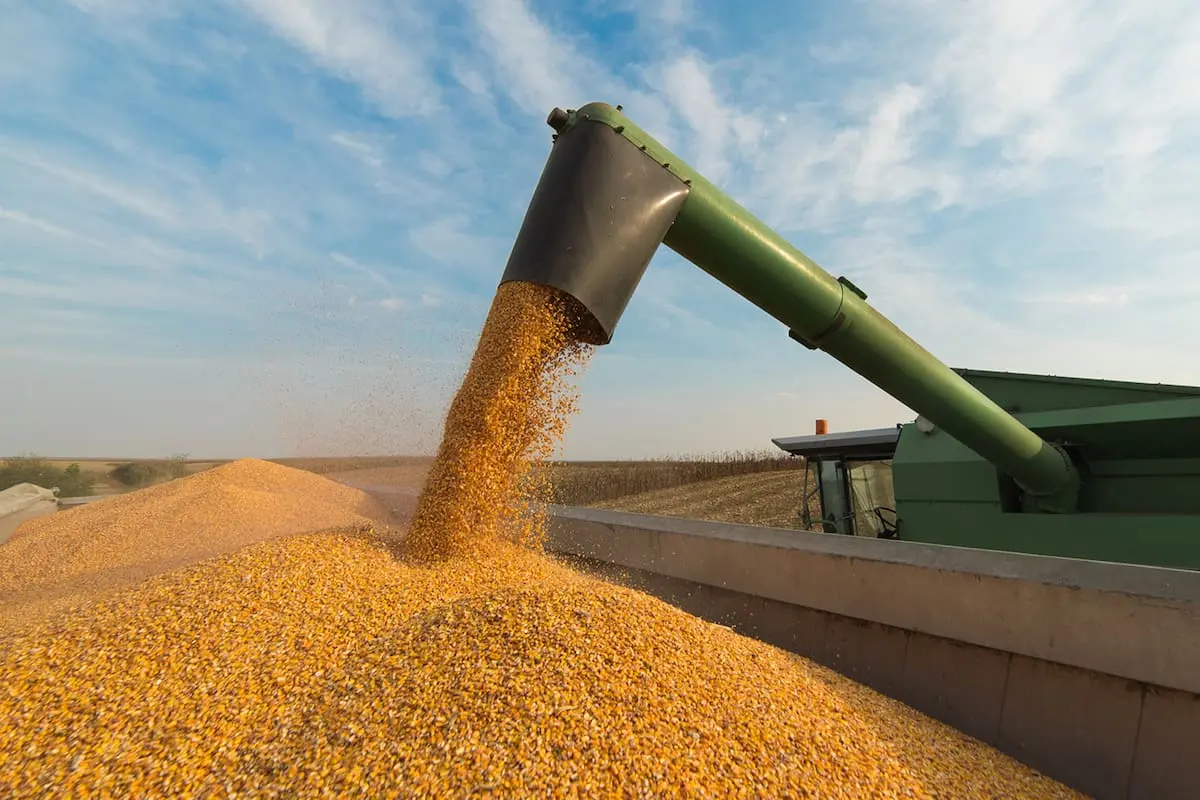 Empresarios solicitan un sistema de consultas para la importación de maquinaria agrícola de segunda mano