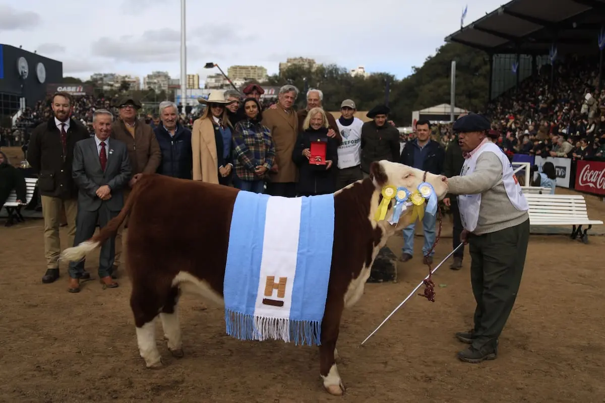 Hereford destacó en Palermo al seleccionar al Gran Campeón Hembra de su raza en la pista argentina.
