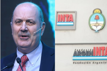 Decreto inminente: información crucial sobre cambios que transformarán la situación actual