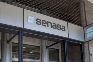 Laboratorios piden a Senasa reevaluar flexibilización en la importación de vacunas veterinarias