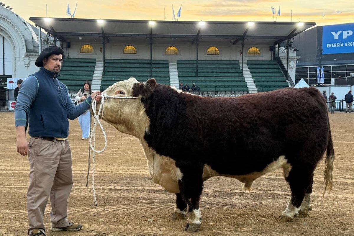 Escocés marca el inicio en la Rural mientras se intensifican los preparativos para la muestra del campo en la ciudad