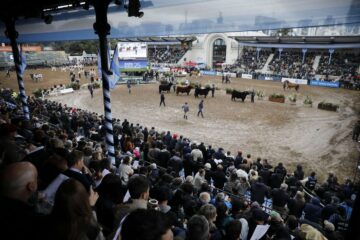 A la espera del momento clave para iniciar una nueva etapa en la vida