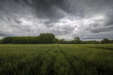 Junio cerró con lluvias por debajo del promedio histórico en Entre Ríos