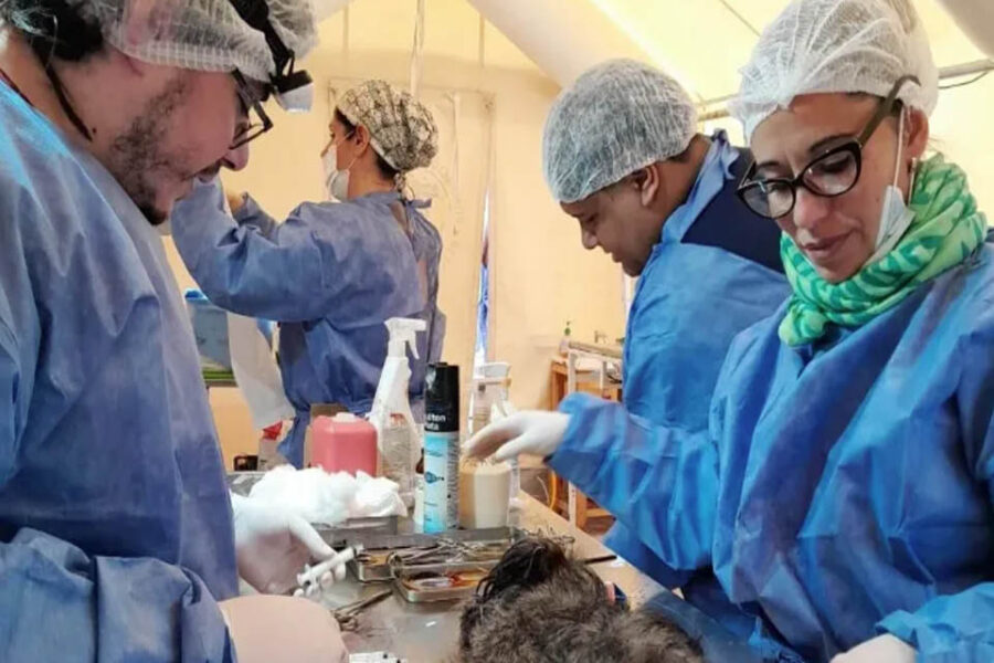 Este fin de semana se castraron 371 animales en Concepción del Uruguay