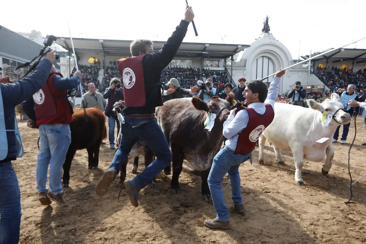 La Exposición Rural de Palermo mostrará la excelencia del ganado y sus avances en la industria agrícola