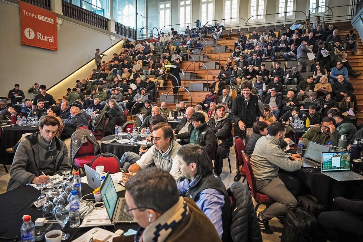 Precios firmes en las subastas de Palermo para la hacienda: una mirada a la actualidad del mercado agrícola