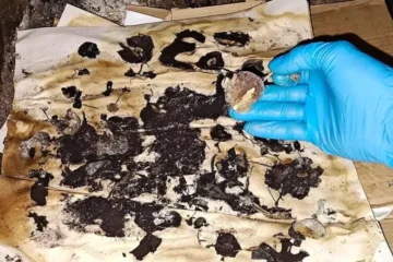 Joven fallecido en Concepción del Uruguay mostró signos de broncoaspiración según el informe médico oficial