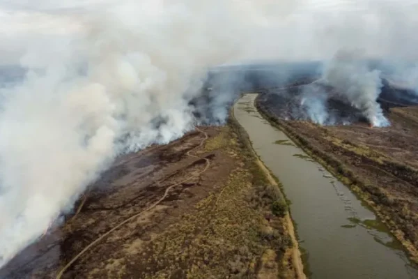 Causan indignación las condenas por incendiar el Delta: el fiscal destaca el fuerte mensaje para la comunidad