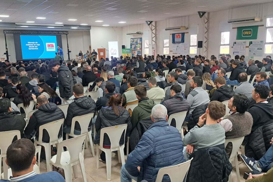 Desafíos para la próxima campaña: reconstruir el suelo y reducir las brechas existentes