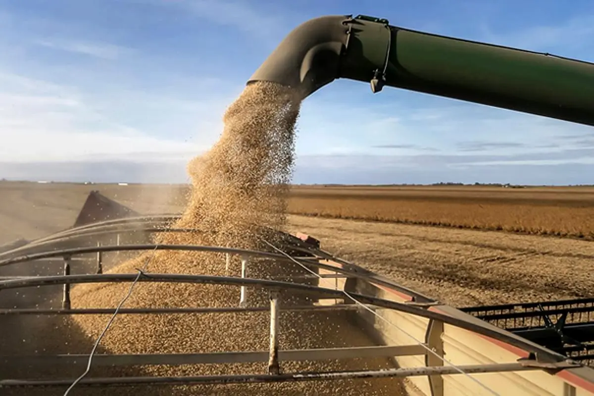 El agro generaría hasta US$60.000 millones para el país, según proyección destacada.