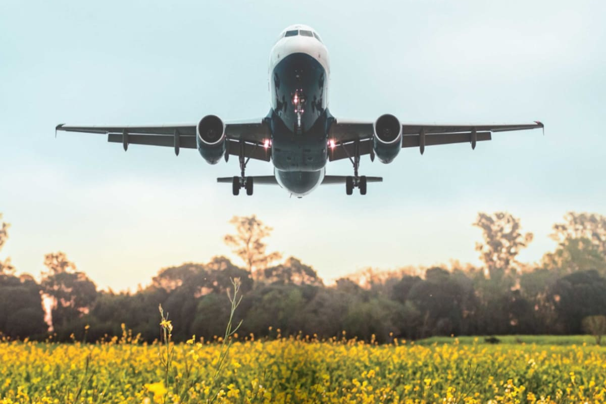 El prometedor mercado que podría revitalizar la agricultura a nivel mundial
